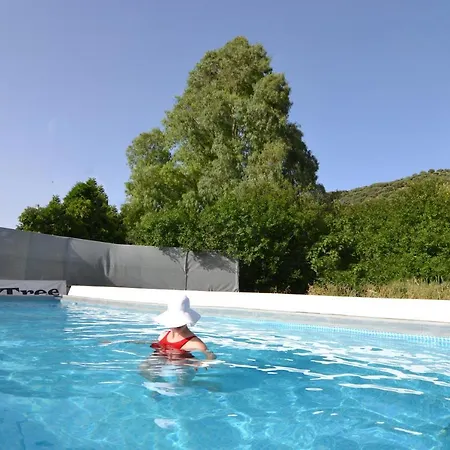 Olive Tree With Private Pool Villa