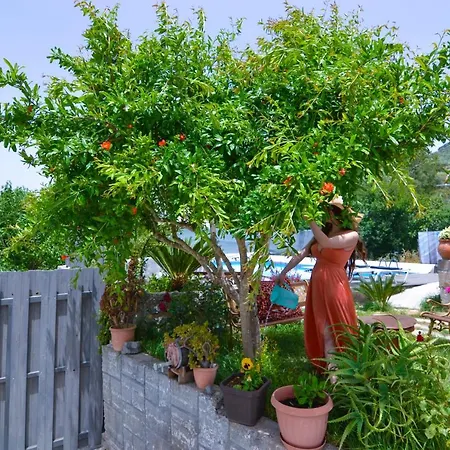 Olive Tree With Private Pool Kissamos