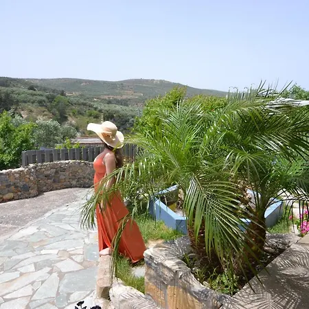 Villa Olive Tree With Private Pool