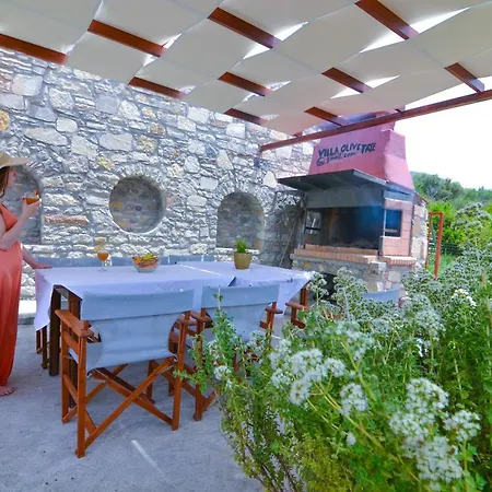 Olive Tree With Private Pool